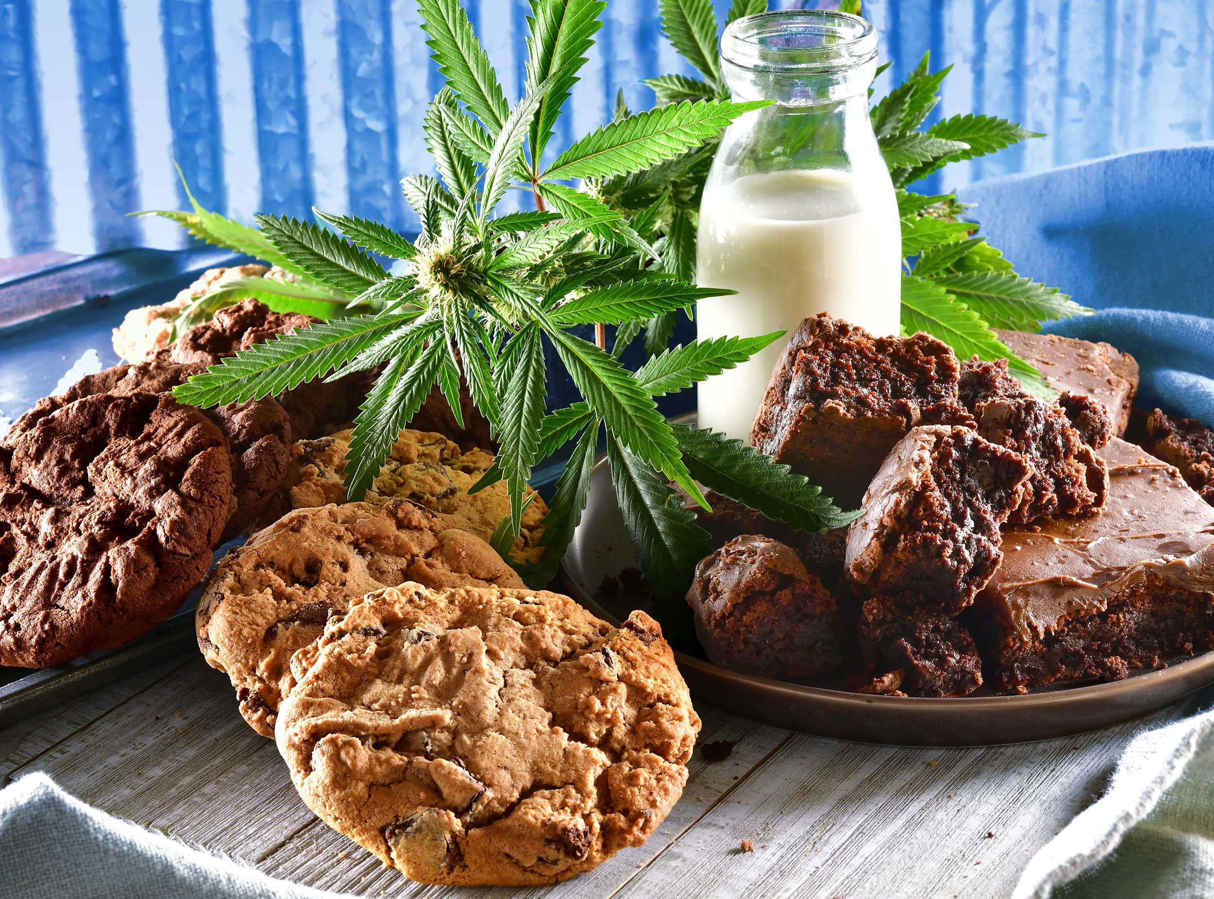 mike wepplo cannabis photography cookies and brownies and sweets dessert