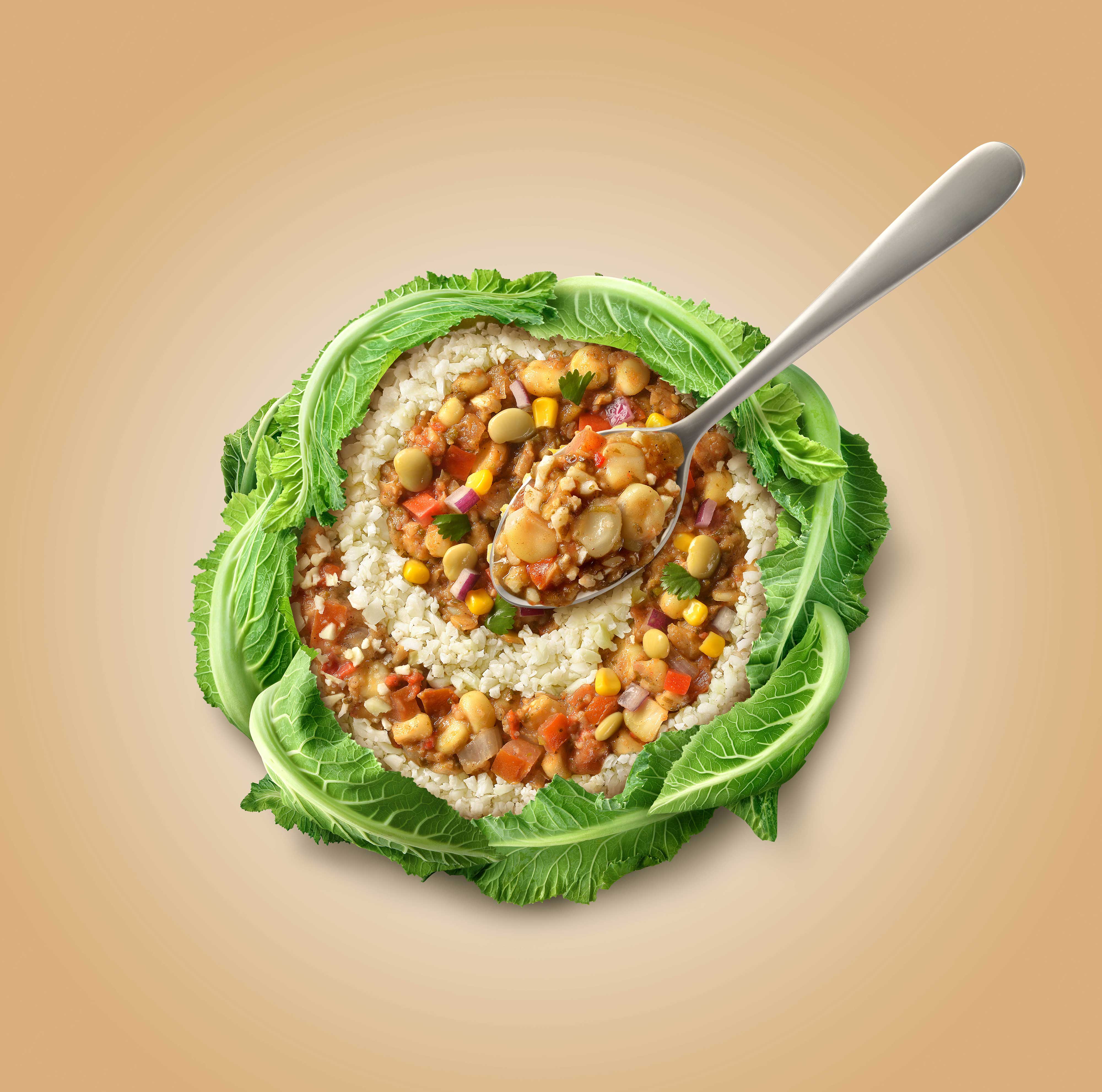 mike wepplo photoreal photography ceviche rice and lettuce wrap