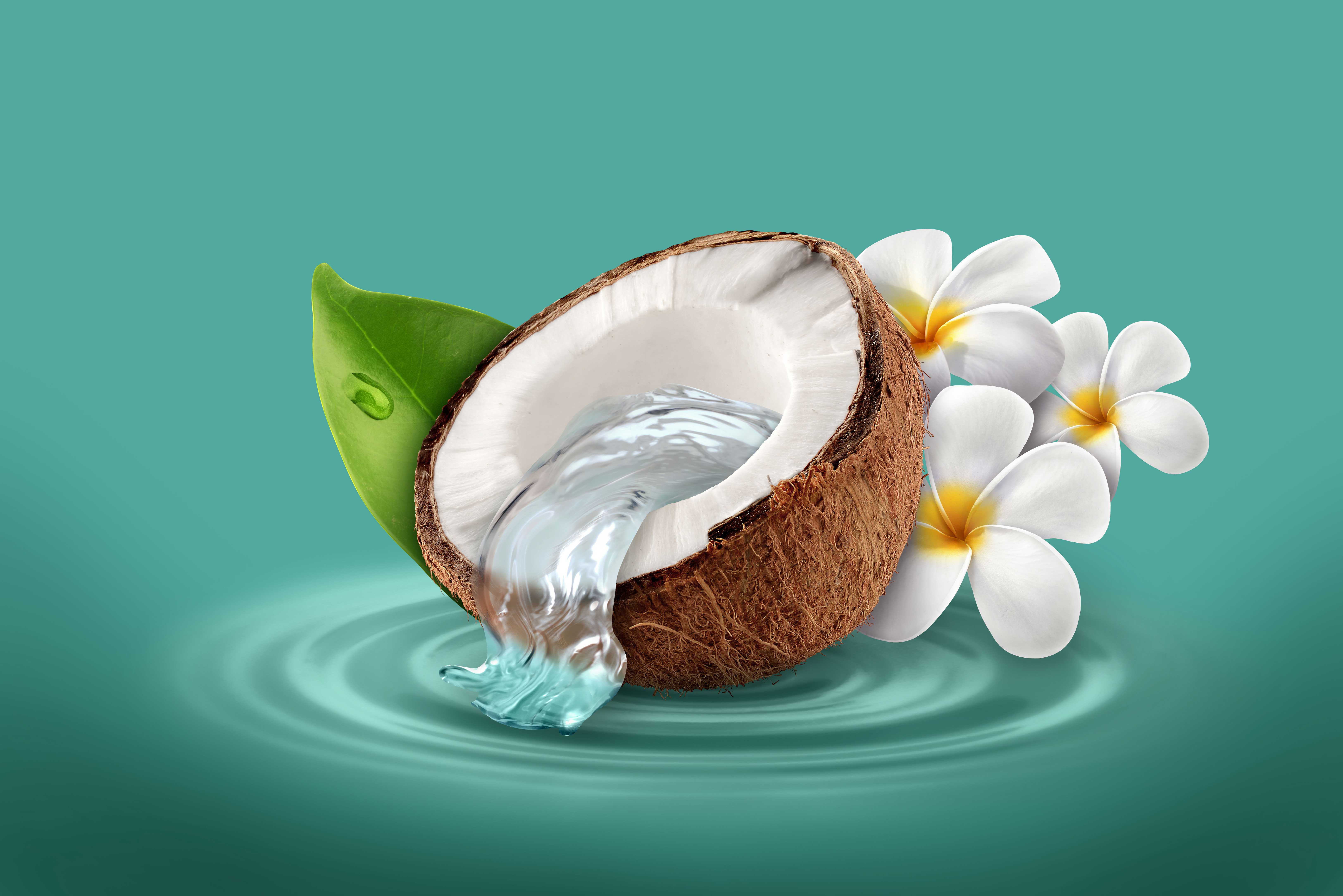 mike wepplo photoreal photography coconut jasmine illustration