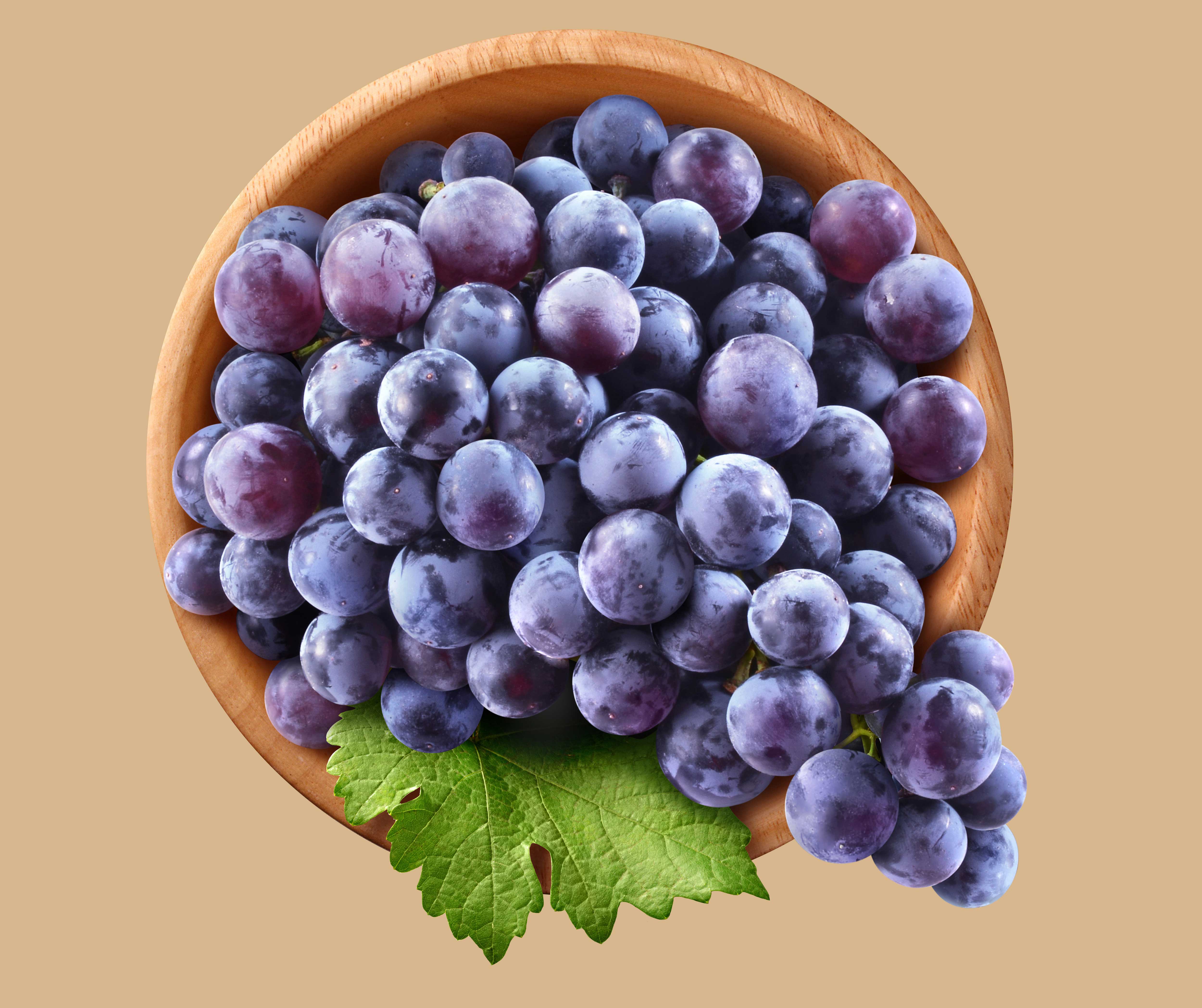 mike wepplo photoreal photography bowl of concord grapes