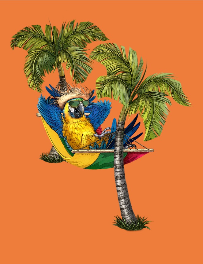 MikeWepplo_illustration_lounge_parrot
