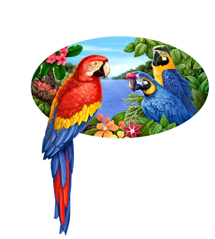 MikeWepplo_illustration_tropical_parrots