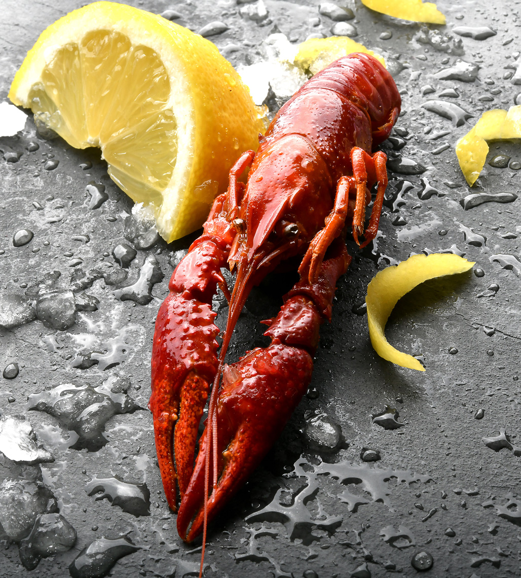 mike wepplo natural photography lobster with lemon wedge