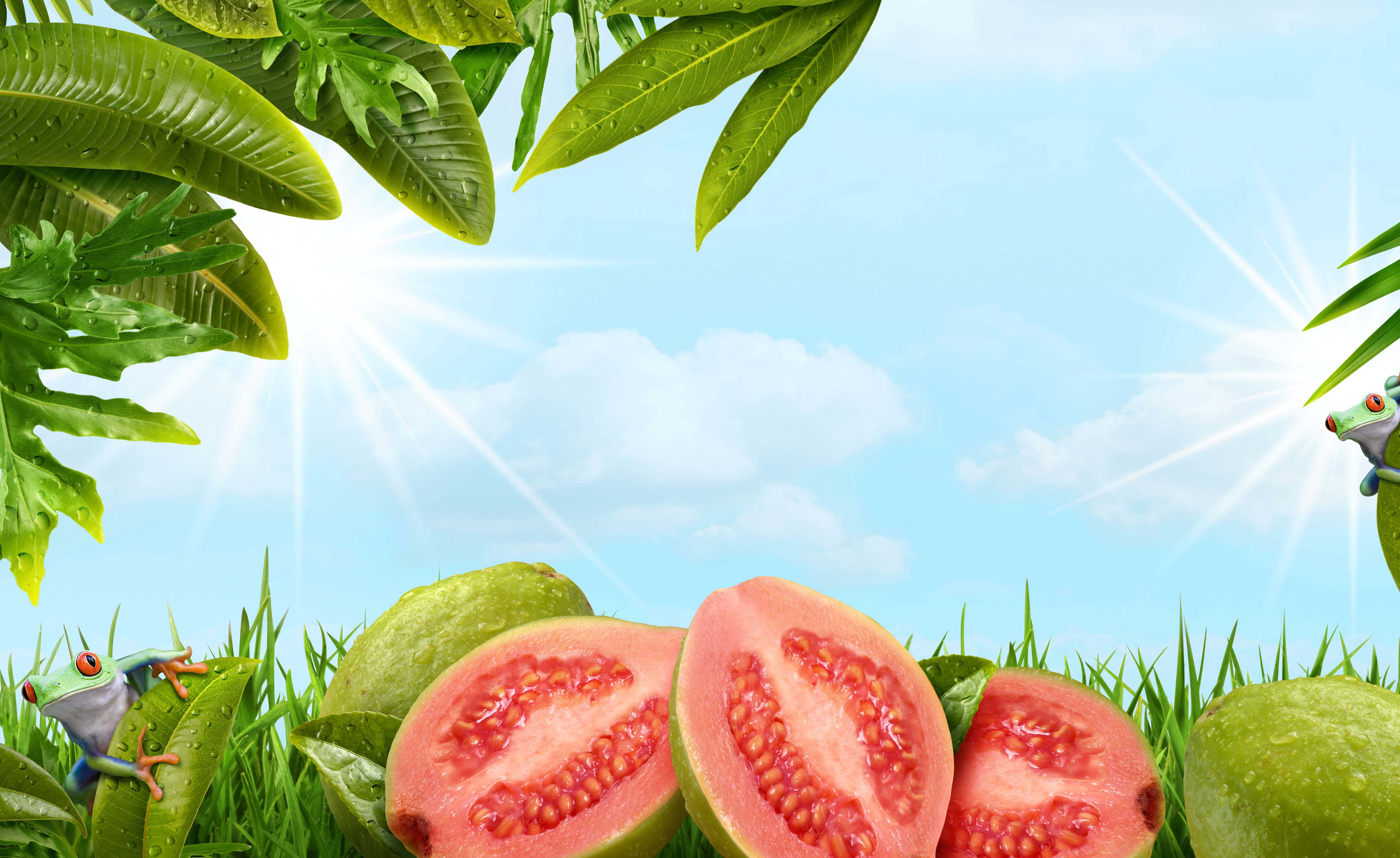 mike wepplo photoreal photography mikes hard lemonade guava with frog and sky